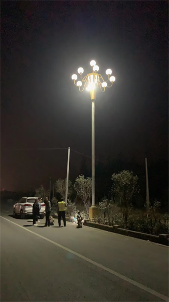LED香蕉视频在线免费销售