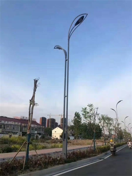 山东香蕉视频在线免费厂家