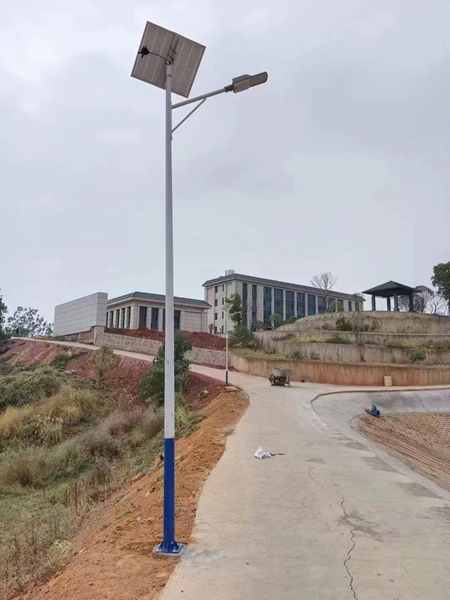太阳能香蕉视频在线免费