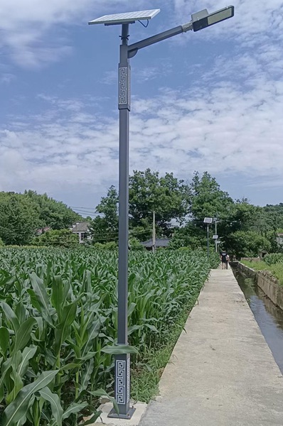户外太阳能香蕉视频在线免费